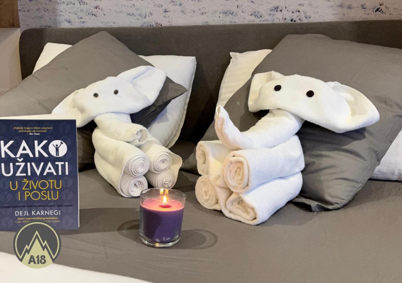 Lux Apartman A18 & Spa Centar コパオニク エクステリア 写真