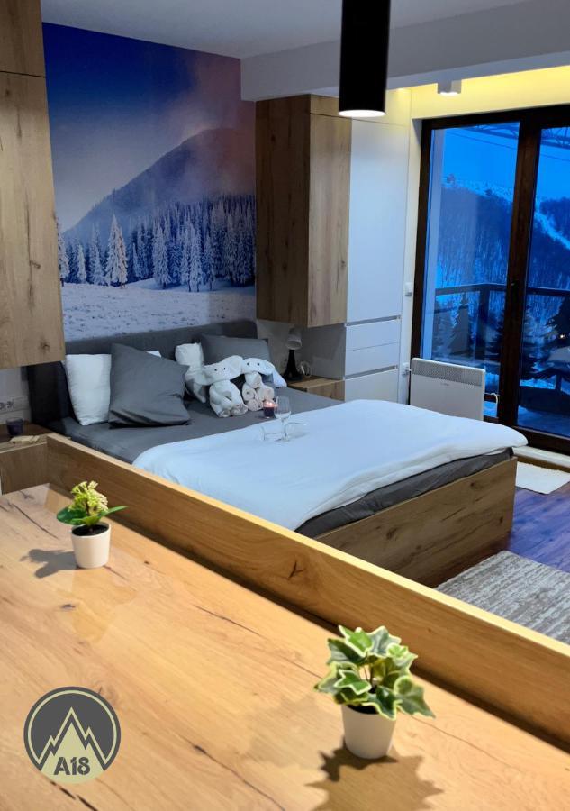 Lux Apartman A18 & Spa Centar コパオニク エクステリア 写真