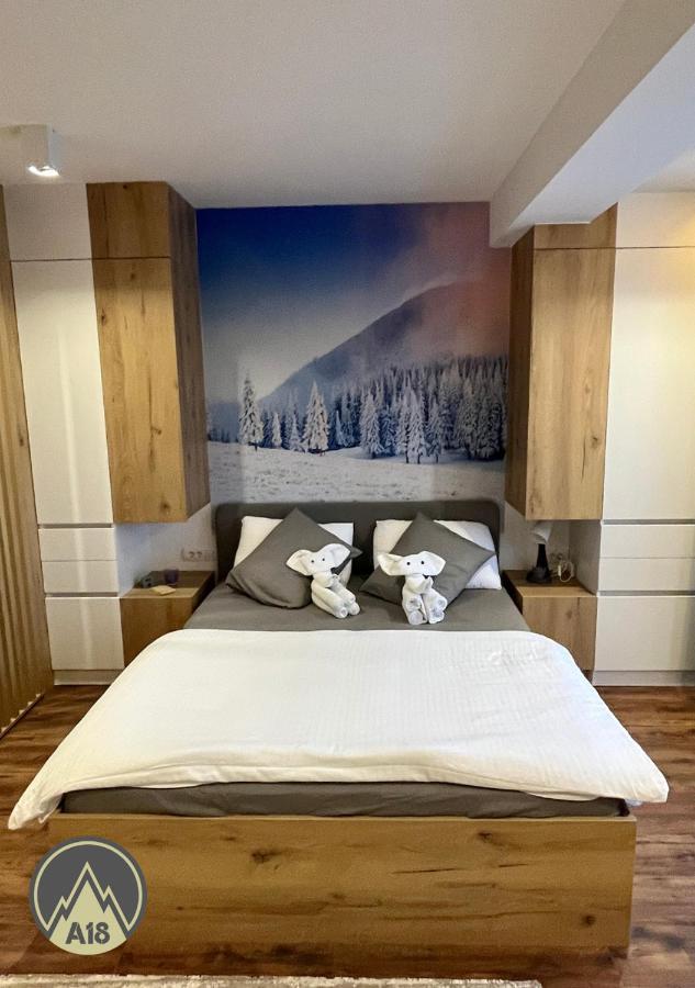 Lux Apartman A18 & Spa Centar コパオニク エクステリア 写真
