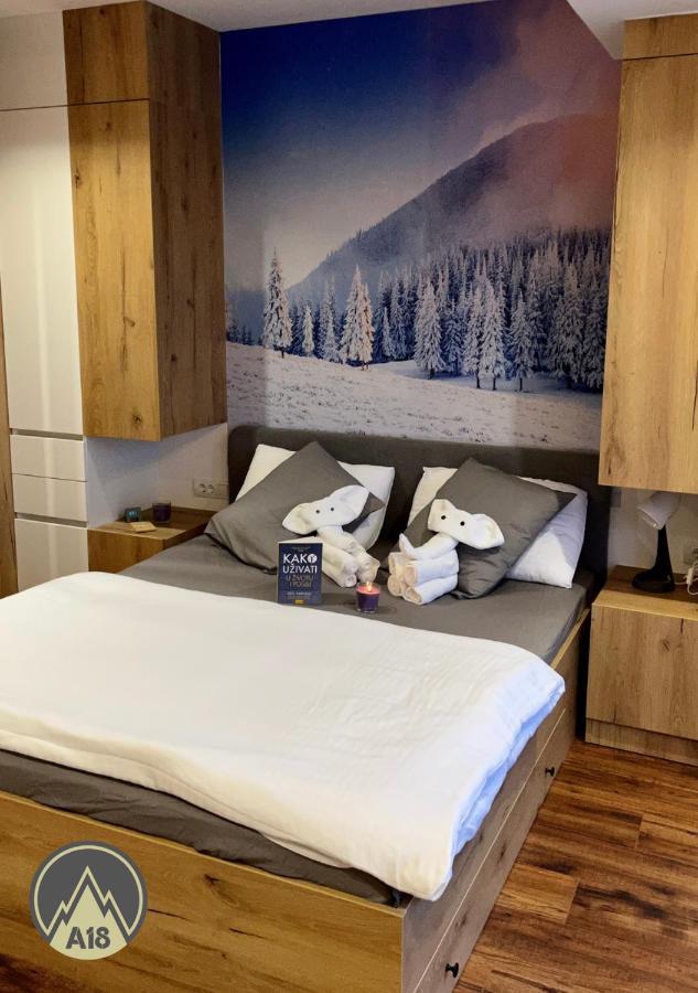 Lux Apartman A18 & Spa Centar コパオニク エクステリア 写真