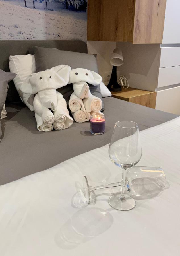 Lux Apartman A18 & Spa Centar コパオニク エクステリア 写真