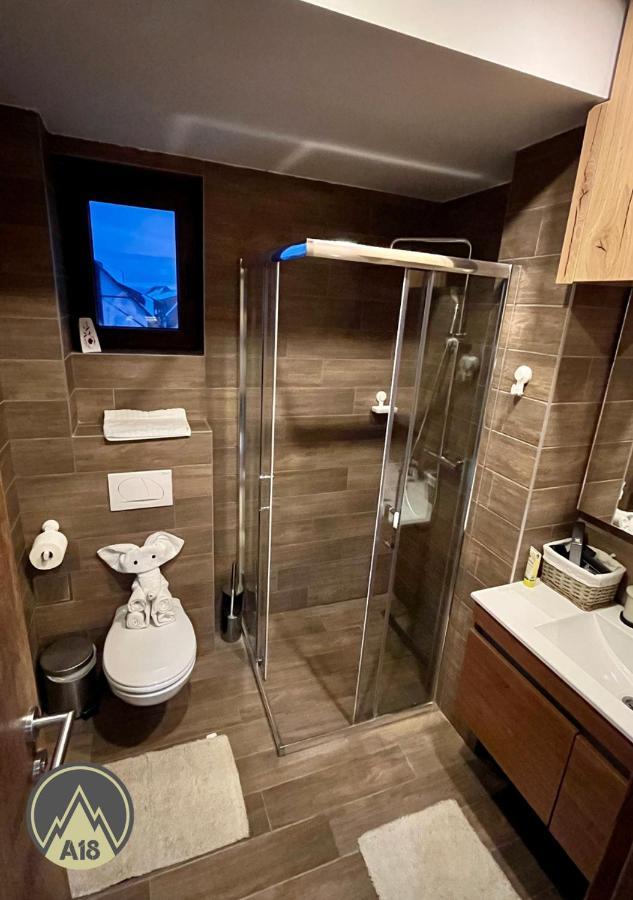 Lux Apartman A18 & Spa Centar コパオニク エクステリア 写真