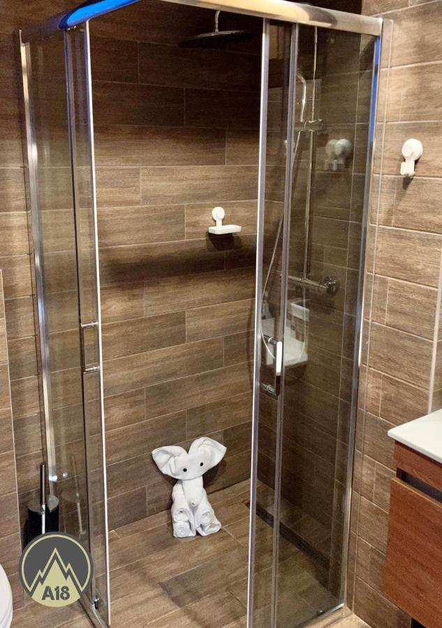 Lux Apartman A18 & Spa Centar コパオニク エクステリア 写真